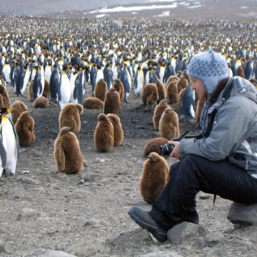 南极洲+南乔治亚和南桑德韦奇+福克兰群岛+阿根廷+乌拉圭+巴西32日28晚跟团游