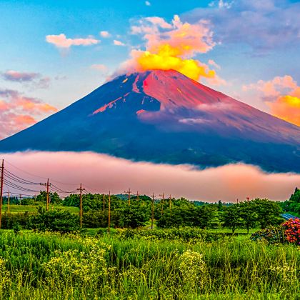 日本东京4日3晚私家团