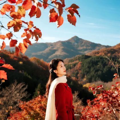 成都+剑门关+阆中古城+巴中+光雾山旅游景区+米仓山国家森林公园+十八月潭景区6日5晚私家团