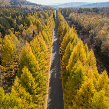 哈尔滨+伊春5日4晚自由行