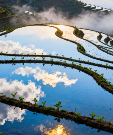 3D2N • Emperor Voyage: Guilin + Yangshuo + Li River Scenic Area + Longji Rice Terraces