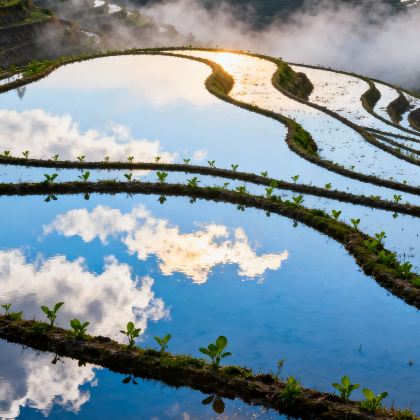广西桂林+漓江+阳朔+龙脊梯田4日3晚跟团游
