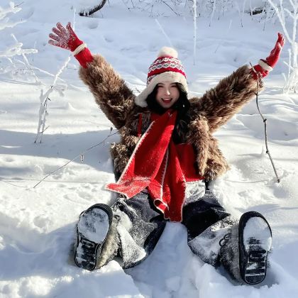 哈尔滨+长白山+延吉5日4晚拼小团