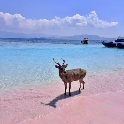 印度尼西亚18日16晚跟团游