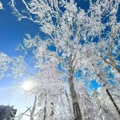 吉林长春+长白山+延吉+雪乡+哈尔滨7日6晚私家团