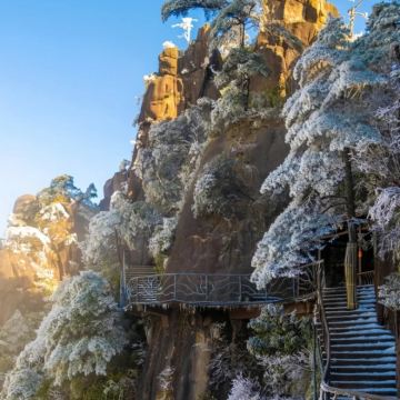 江西南昌滕王阁旅游区+鹰潭龙虎山风景名胜区+上饶望仙谷+三清山风景区+婺源篁岭景区+陶阳里旅游区+景德镇雕塑瓷厂+庐山风景名胜区8日7晚私家团