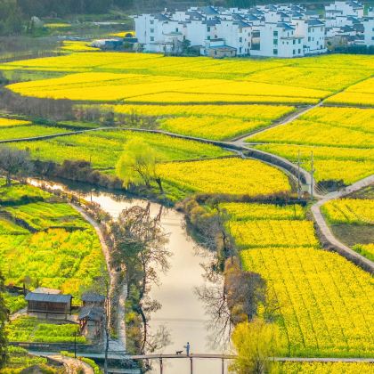 福州三坊七巷+武夷山《印象大红袍》演出+婺源篁岭景区+江岭赏油菜花海7日6晚私家团