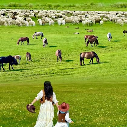 呼伦贝尔6日5晚私家团