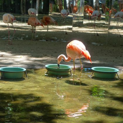 阿根廷布宜诺斯艾利斯+伊瓜苏国家公园+巴西伊瓜苏国家公园+里约热内卢9日7晚私家团