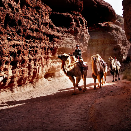 甘肃+平山湖大峡谷+张掖七彩丹霞旅游景区+榆林窟+莫高窟8日7晚私家团
