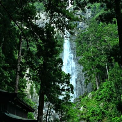 日本熊野古道5日4晚私家团