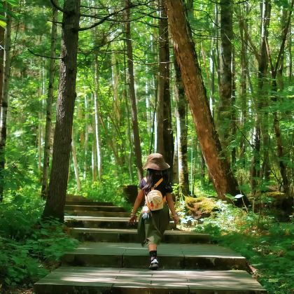 哈尔滨+伊春+五大连池市6日5晚私家团