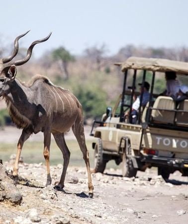 6D5N • 6-day Hwange, Chobe & Victoria Falls Combo