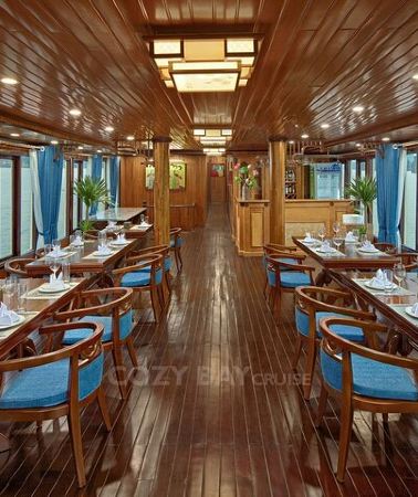 2D1N • Cozy Bay Cruises - Best Boutique Cruise in Halong Bay 2D/1N Tour