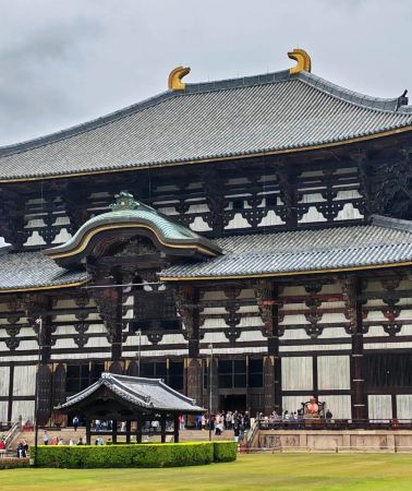 6D5N • Year Round Classic Kansai Tour: Temple Train Aquarium Experience + Kyoto Osaka City Hotel Stay + Fushimi Inari Dotonbori Landmarks + Arashiyama Bamboo Highlight Title 2 Family Focus