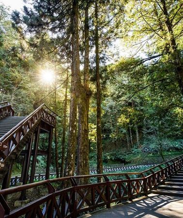 2D1N • Alishan Taiwan 2 Day Private Tour from Taipei