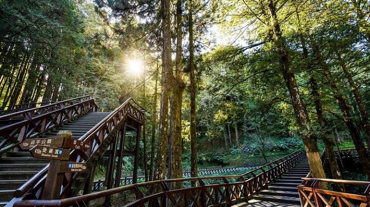2-Day Alishan Taiwan 2 Day Private Tour from Taipei