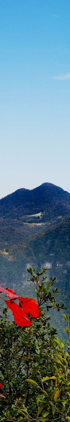 柴埠溪大峡谷-五峰