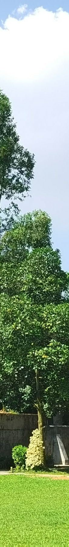 开平碉楼文化旅游区-开平