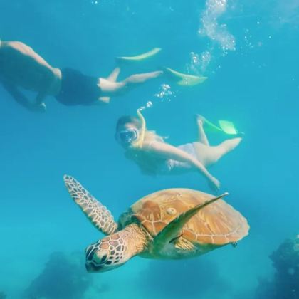 墨尔本+凯恩斯+悉尼11日9晚自由行