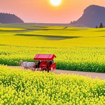 昆明+东川红土地+罗平+弥勒+普者黑风景区+坝美世外桃源景区+河口+元阳+蒙自+建水+抚仙湖11日10晚私家团