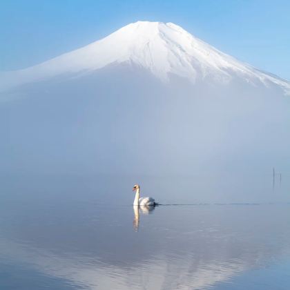 日本东京+京都+大阪7日6晚私家团