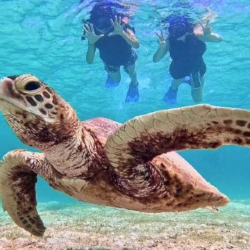 日本冲绳+渡嘉敷岛5日4晚拼小团