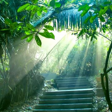 广西南宁+德天瀑布+通灵峡谷4日3晚跟团游