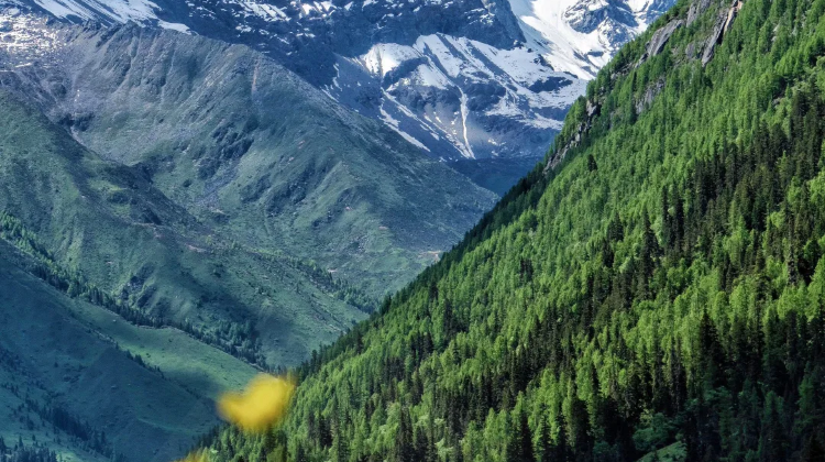 8-day 7-night · Private Tour · Chengdu + Daocheng Yading + Mount Siguniang + Moshi Park Scenic Area + Yuzixi + Xinduqiao Town