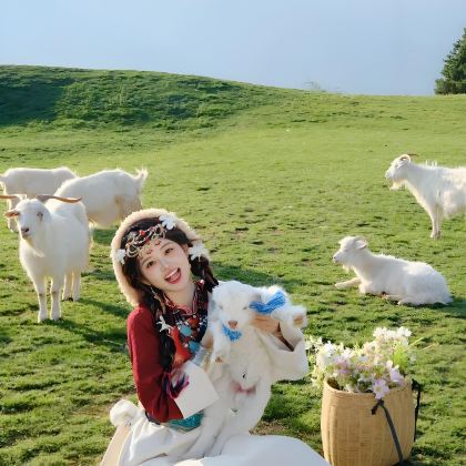 云南丽江+大理市+香格里拉5日4晚跟团游