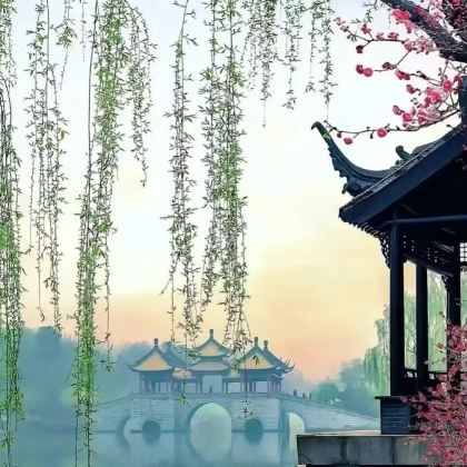 上海+乌镇+杭州+苏州+扬州+南京+千岛湖11日10晚私家团