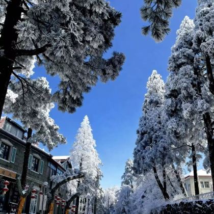 江西庐山2日1晚跟团游