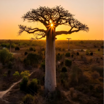 毛里求斯+塞舌尔+马达加斯加+留尼汪（法属）16日15晚私家团