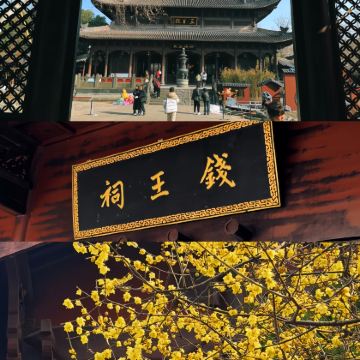 杭州西湖风景名胜区+灵隐寺+西溪国家湿地公园3日2晚私家团