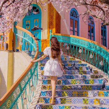 新疆北疆+乌鲁木齐+喀纳斯景区+赛里木湖8日7晚拼小团