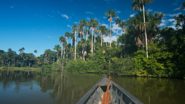 馬爾多納多港+3