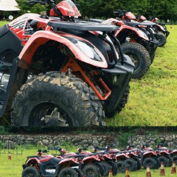 长白山+延吉4日3晚私家团