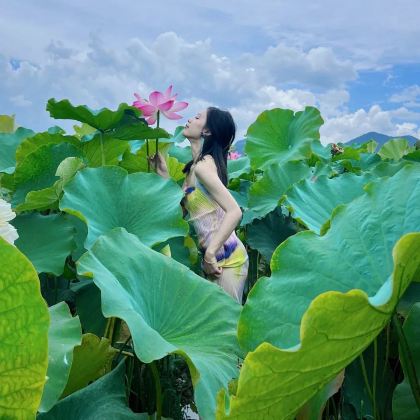 云南昆明+建水+元阳+蒙自+弥勒+普者黑景区8日7晚跟团游