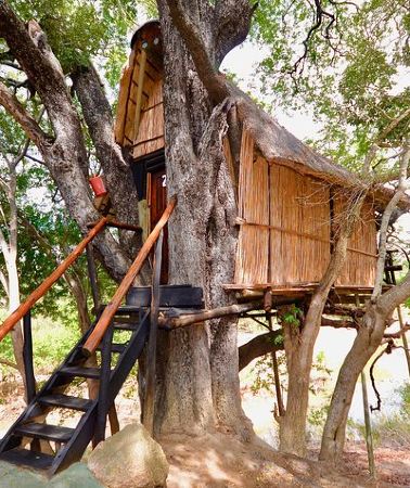 4D3N • 4 Day Lodge and Treehouse Kruger National Park Safari