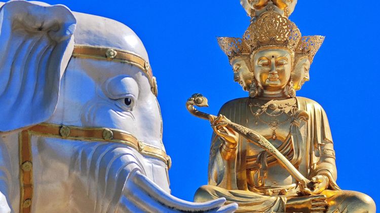 5-Day Best of Chengdu & Beyond: 5 Icons, 1 Perfect Loop - Pandas, Dujiangyan, Qingchengshan, Leshan & Mount Emei