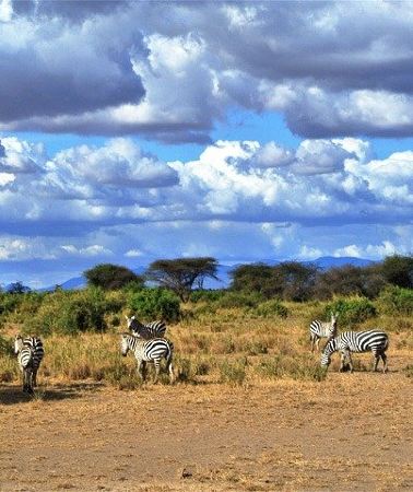 3D2N • 3 Days, 2 Nights Safari - Amboseli National Park and Tsavo West Adventure Safari