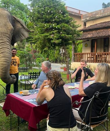 3D2N • 2 Nights 3 Days Chitwan National Park Package with Jeep Safari