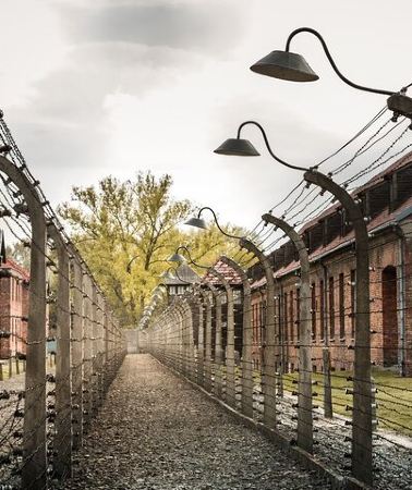 2D1N • 2 Days Tour to Auschwitz and Krakow from Warsaw