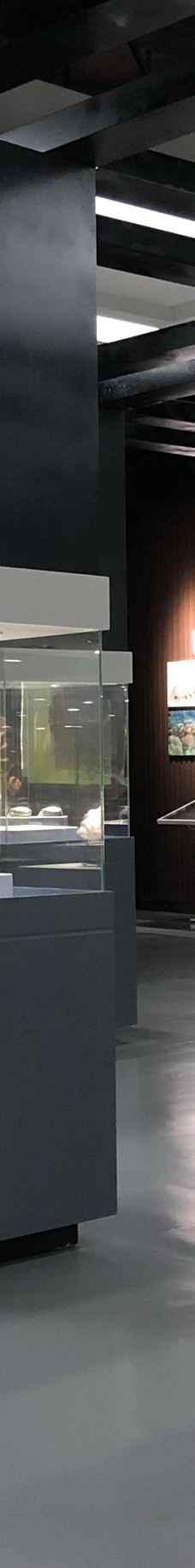 贝壳王国-秦皇岛