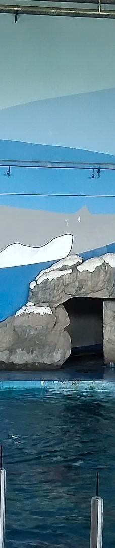 苏州海洋馆-苏州