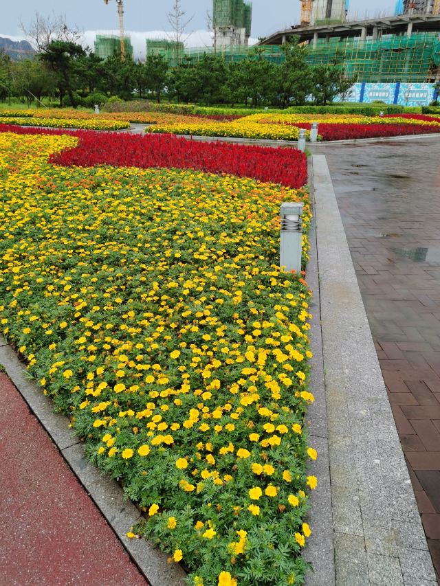 青岛西海岸生态观光园旅行图片 1