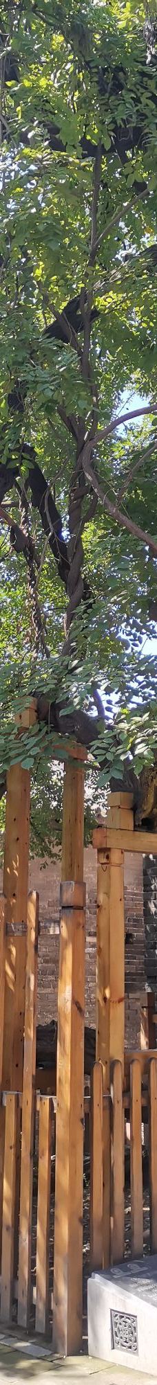 马氏庄园-安阳县