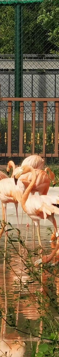 秦皇岛野生动物园-秦皇岛