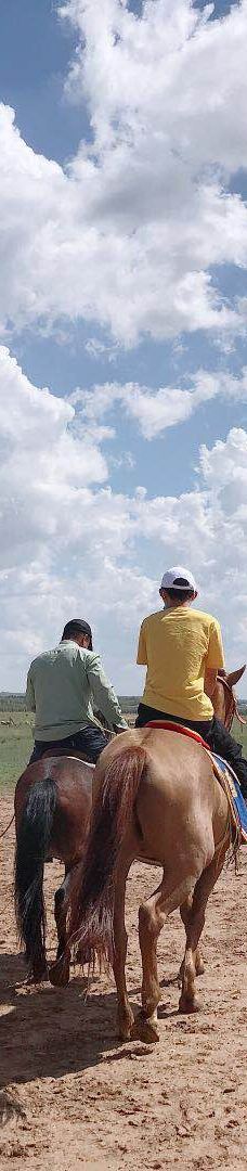 苏泊罕大草原旅游景区-伊金霍洛旗