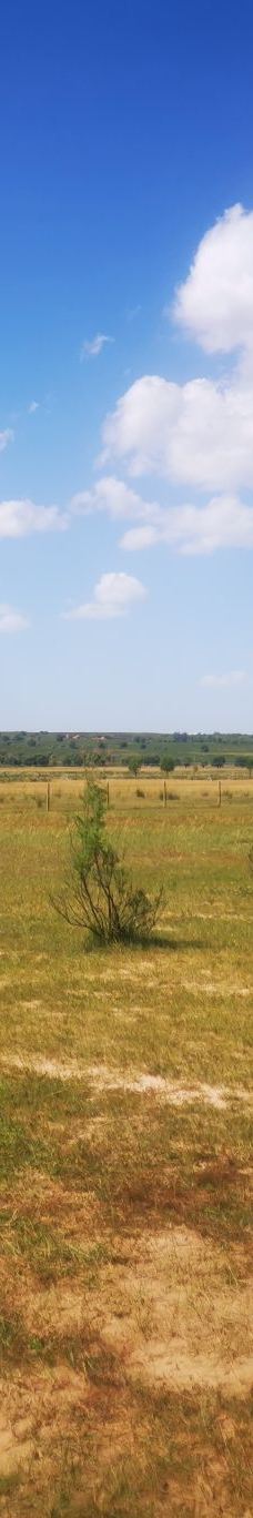 苏泊罕大草原旅游景区-伊金霍洛旗